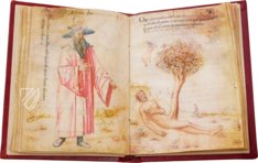 Sammlung der Alchemie – Ediciones Grial – MS Ashburnham 1166 – Biblioteca Medicea Laurenziana (Florenz, Italien)