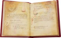 Sammlung der Alchemie – Ediciones Grial – MS Ashburnham 1166 – Biblioteca Medicea Laurenziana (Florenz, Italien)