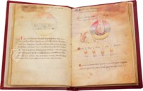 Sammlung der Alchemie – Ediciones Grial – MS Ashburnham 1166 – Biblioteca Medicea Laurenziana (Florenz, Italien)