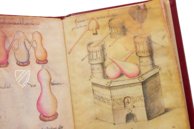 Sammlung der Alchemie – Ediciones Grial – MS Ashburnham 1166 – Biblioteca Medicea Laurenziana (Florenz, Italien)