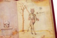 Sammlung der Alchemie – Ediciones Grial – MS Ashburnham 1166 – Biblioteca Medicea Laurenziana (Florenz, Italien)