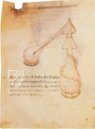 Sammlung der Alchemie – Ediciones Grial – MS Ashburnham 1166 – Biblioteca Medicea Laurenziana (Florenz, Italien)