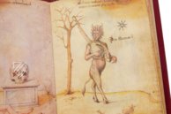 Sammlung der Alchemie – MS Ashburnham 1166 – Biblioteca Medicea Laurenziana (Florenz, Italien) Faksimile