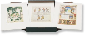 Schätze der Biblioteca Apostolica Vaticana – Litterae – Faksimile Verlag – Cod. Vat. lat. 3225|Cod. Vat. lat. 3867|Cod. Pal.lat.1564|Cod. Vat. lat. 3868|Cod. Pal. Lat. 1071|Cod. Urb. lat. 365|Cod. Reg. Lat. 1896|Cod. Urb. lat. 276|Cod. Pal. Lat. 19 Schätze der Biblioteca Apostolica Vaticana – Litterae – Faksimile Verlag – Cod. Vat. lat. 3225|Cod. Vat. lat. 3867|Cod. Pal.lat.1564|Cod. Vat. lat. 3868|Cod. Pal. Lat. 1071|Cod. Urb. lat. 365|Cod. Reg. Lat. 1896|Cod. Urb. lat. 276|Cod. Pal. Lat. 19