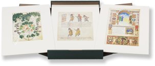 Schätze der Biblioteca Apostolica Vaticana – Litterae – Faksimile Verlag – Cod. Vat. lat. 3225|Cod. Vat. lat. 3867|Cod. Pal.lat.1564|Cod. Vat. lat. 3868|Cod. Pal. Lat. 1071|Cod. Urb. lat. 365|Cod. Reg. Lat. 1896|Cod. Urb. lat. 276|Cod. Pal. Lat. 19 Schätze der Biblioteca Apostolica Vaticana – Litterae – Faksimile Verlag – Cod. Vat. lat. 3225|Cod. Vat. lat. 3867|Cod. Pal.lat.1564|Cod. Vat. lat. 3868|Cod. Pal. Lat. 1071|Cod. Urb. lat. 365|Cod. Reg. Lat. 1896|Cod. Urb. lat. 276|Cod. Pal. Lat. 19