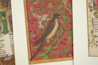 Schätze der Buchmalerei - Von Liebe und Freundschaft – Belser Verlag – Biblioteca Apostolica Vaticana (Vatikanstadt, Vatikanstadt)