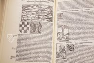 Sebastian Münster: Cosmographey oder Beschreibung aller Länder 1588 – Konrad Kölbl Verlag – Res/2 Geo.u. 64 t – Bayerische Staatsbibliothek (München, Deutschland)
