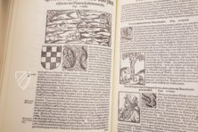 Sebastian Münster: Cosmographey oder Beschreibung aller Länder 1588 – Konrad Kölbl Verlag – Res/2 Geo.u. 64 t – Bayerische Staatsbibliothek (München, Deutschland)