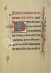 Seelengarten – Siloé, arte y bibliofilia – Privatsammlung Seelengarten – Siloé, arte y bibliofilia – Privatsammlung