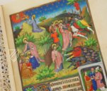 Sobieski-Stundenbuch – Quaternio Verlag Luzern – RCIN 1142248 – Royal Library at Windsor Castle (Windsor, Vereinigtes Königreich)