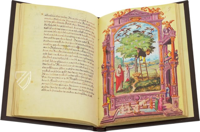 Splendor Solis - Das Traktat der Alchemie – Ms. All. 113 – Bibliothèque nationale de France (Paris, Frankreich) Faksimile