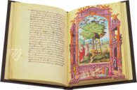 Splendor Solis - Das Traktat der Alchemie – Patrimonio Ediciones – Ms. All. 113 – Bibliothèque nationale de France (Paris, Frankreich)
