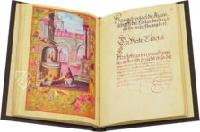 Splendor Solis - Das Traktat der Alchemie – Patrimonio Ediciones – Ms. All. 113 – Bibliothèque nationale de France (Paris, Frankreich)