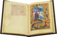 Splendor Solis - Das Traktat der Alchemie – Patrimonio Ediciones – Ms. All. 113 – Bibliothèque nationale de France (Paris, Frankreich)