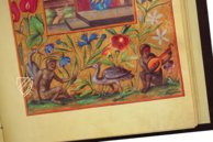 Splendor Solis - Das Traktat der Alchemie – Patrimonio Ediciones – Ms. All. 113 – Bibliothèque nationale de France (Paris, Frankreich)