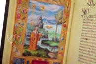 Splendor Solis - Das Traktat der Alchemie – Patrimonio Ediciones – Ms. All. 113 – Bibliothèque nationale de France (Paris, Frankreich)