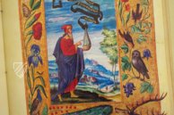 Splendor Solis - Das Traktat der Alchemie – Patrimonio Ediciones – Ms. All. 113 – Bibliothèque nationale de France (Paris, Frankreich)