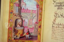 Splendor Solis - Das Traktat der Alchemie – Patrimonio Ediciones – Ms. All. 113 – Bibliothèque nationale de France (Paris, Frankreich)