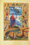 Splendor Solis - Das Traktat der Alchemie – Patrimonio Ediciones – Ms. All. 113 – Bibliothèque nationale de France (Paris, Frankreich)