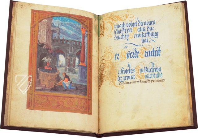 Splendor Solis - Sonnenglanz – Coron Verlag – Cod. 78 D 3 – Kupferstichkabinett (Berlin, Deutschland)