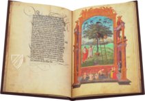 Splendor Solis - Sonnenglanz – Coron Verlag – Cod. 78 D 3 – Kupferstichkabinett (Berlin, Deutschland)