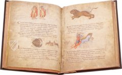 Sternbilder-Codex Drogos von Metz – Testimonio Compañía Editorial – Ms. no. 3307 – Biblioteca Nacional de España (Madrid, Spanien)
