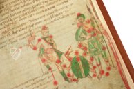 Sternbilder der Antike – Quaternio Verlag Luzern – Ms. 735C – National Library of Wales (Aberystwyth, Vereinigtes Königreich) Sternbilder der Antike – Quaternio Verlag Luzern – Ms. 735C – National Library of Wales (Aberystwyth, Vereinigtes Königreich)