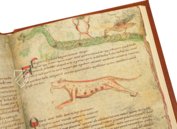 Sternbilder der Antike – Quaternio Verlag Luzern – Ms. 735C – National Library of Wales (Aberystwyth, Wales)