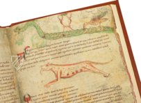 Sternbilder der Antike – Quaternio Verlag Luzern – Ms. 735C – National Library of Wales (Aberystwyth, Wales)