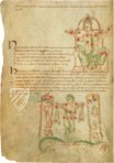 Sternbilder der Antike – Quaternio Verlag Luzern – Ms. 735C – National Library of Wales (Aberystwyth, Wales)