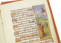 Stundenbuch aus Besançon – Orbis Mediaevalis – Ms. 0148 – Bibliothèque municipale (Besançon, Frankreich)