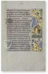 Stundenbuch der Ippolita Maria Sforza – CM Editores – Ms. 66 – Biblioteca de la Abadía de Montserrat (Montserrat, Spanien)