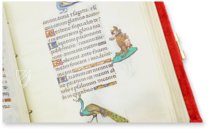 Stundenbuch der Johanna I. von Kastilien und Philipps des Schönen – Patrimonio Ediciones – Add Ms. 18852 – British Library (London, Vereinigtes Königreich) Stundenbuch der Johanna I. von Kastilien und Philipps des Schönen – Patrimonio Ediciones – Add Ms. 18852 – British Library (London, Vereinigtes Königreich)