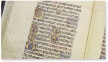 Stundenbuch des Bischofs Fonseca – Siloé, arte y bibliofilia – Bibl. 6209 – Real Seminario de San Carlos Borromeo (Saragossa, Spanien)