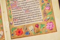 Stundenbuch von Borgia-Papst Alexander VI. – Patrimonio Ediciones – Ms. IV 480 – KBR (Koninklijke Bibliotheek van België