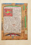 Stundenbuch von Borgia-Papst Alexander VI. – Patrimonio Ediciones – Ms. IV 480 – KBR (Koninklijke Bibliotheek van België