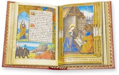 Stundenbuch von Guyot Le Peley – Ms. 3901 – Bibliothèque municipale (Troyes, Frankreich) Faksimile