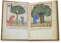 Tacuinum Sanitatis in Medicina – Akademische Druck- u. Verlagsanstalt (ADEVA) – Cod. Vindob. ser. nov. 2644 – Österreichische Nationalbibliothek (Wien, Österreich)