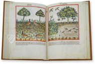 Tacuinum Sanitatis in Medicina – Cod. Vindob. S. N. 2644 – Österreichische Nationalbibliothek (Wien, Österreich) Faksimile