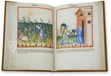 Tacuinum Sanitatis in Medicina – Cod. Vindob. S. N. 2644 – Österreichische Nationalbibliothek (Wien, Österreich) Faksimile