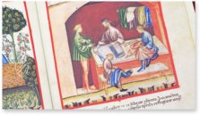 Theatrum Sanitatis – M. Moleiro Editor – Ms. 4182 – Biblioteca Casanatense (Rom, Italien)