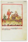 Theatrum Sanitatis – M. Moleiro Editor – Ms. 4182 – Biblioteca Casanatense (Rom, Italien)