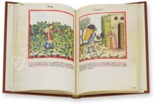 Theatrum Sanitatis – M. Moleiro Editor – Ms. 4182 – Biblioteca Casanatense (Rom, Italien)