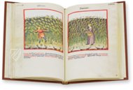 Theatrum Sanitatis – M. Moleiro Editor – Ms. 4182 – Biblioteca Casanatense (Rom, Italien)