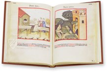 Theatrum Sanitatis – Ms. 4182 – Biblioteca Casanatense (Rom, Italien) Faksimile