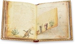 Theriaka und Alexipharmaka von Nikandros  – M. Moleiro Editor – Supplément grec 247 – Bibliothèque nationale de France (Paris, Frankreich)