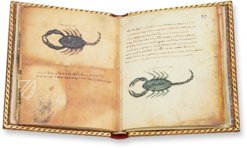 Theriaka und Alexipharmaka von Nikandros  – M. Moleiro Editor – Supplément grec 247 – Bibliothèque nationale de France (Paris, Frankreich)