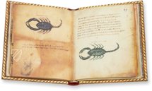 Theriaka und Alexipharmaka von Nikandros  – M. Moleiro Editor – Supplément grec 247 – Bibliothèque nationale de France (Paris, Frankreich)