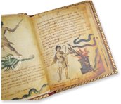 Theriaka und Alexipharmaka von Nikandros  – M. Moleiro Editor – Supplément grec 247 – Bibliothèque nationale de France (Paris, Frankreich)