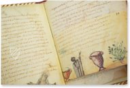 Theriaka und Alexipharmaka von Nikandros  – M. Moleiro Editor – Supplément grec 247 – Bibliothèque nationale de France (Paris, Frankreich)